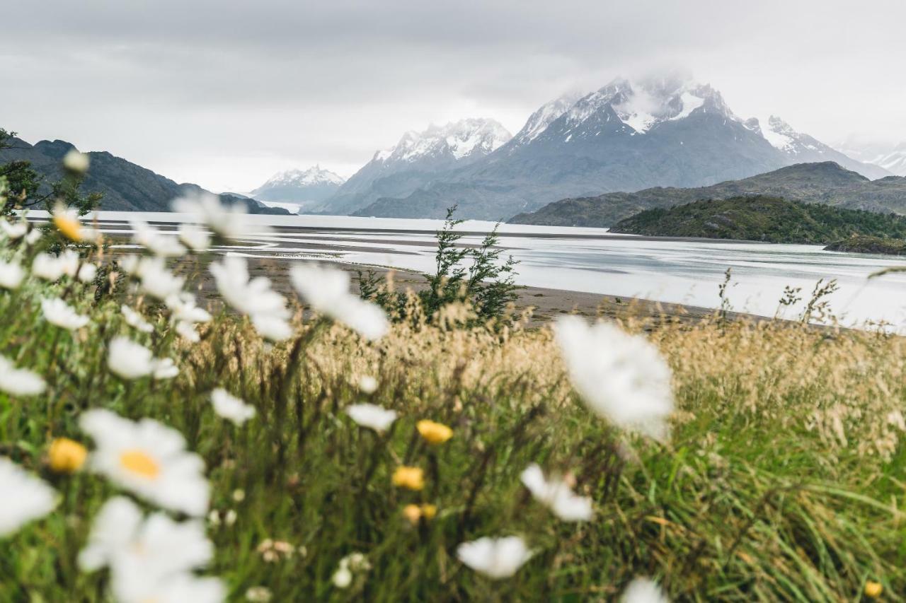 Hotel Lago Grey Torres del Paine National Park Eksteriør billede